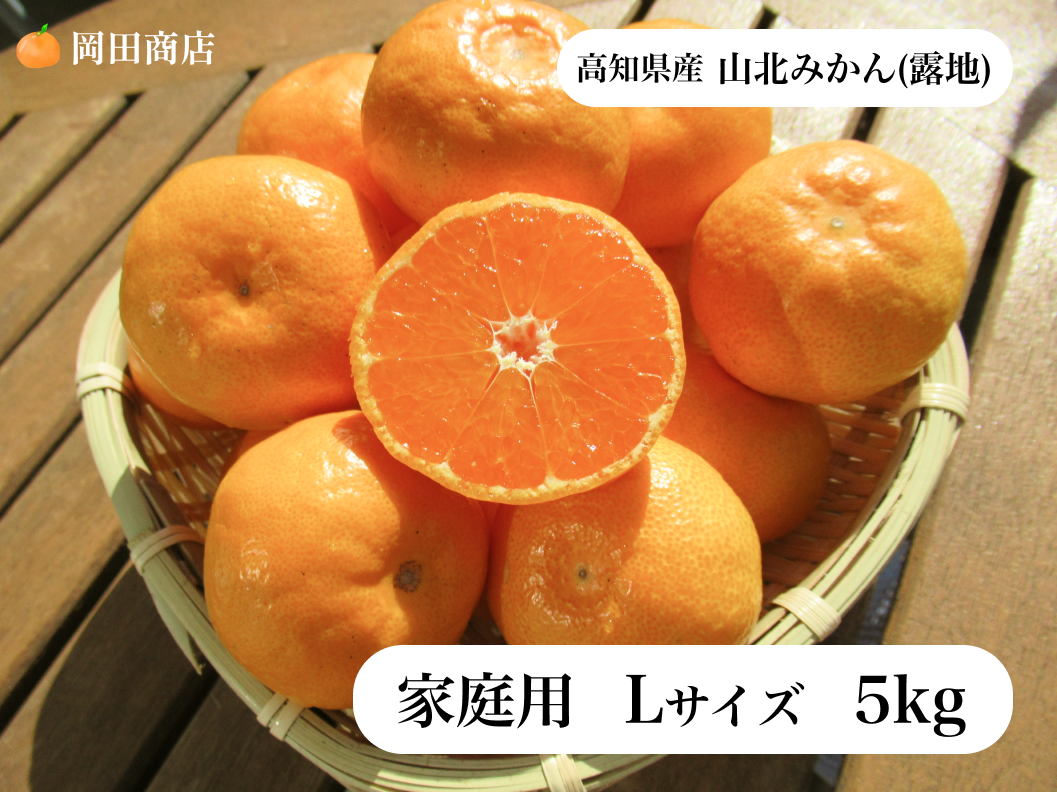 店主お任せ】隠れた人気商品 山北蜜柑(露地)【Lサイズ/5kg】 – 岡田商店