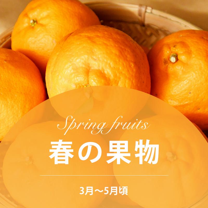 春の果物[3月〜5月]