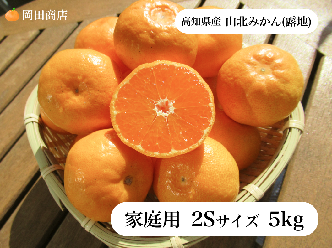 山北蜜柑(露地)/家庭用/2Sサイズ/5kg