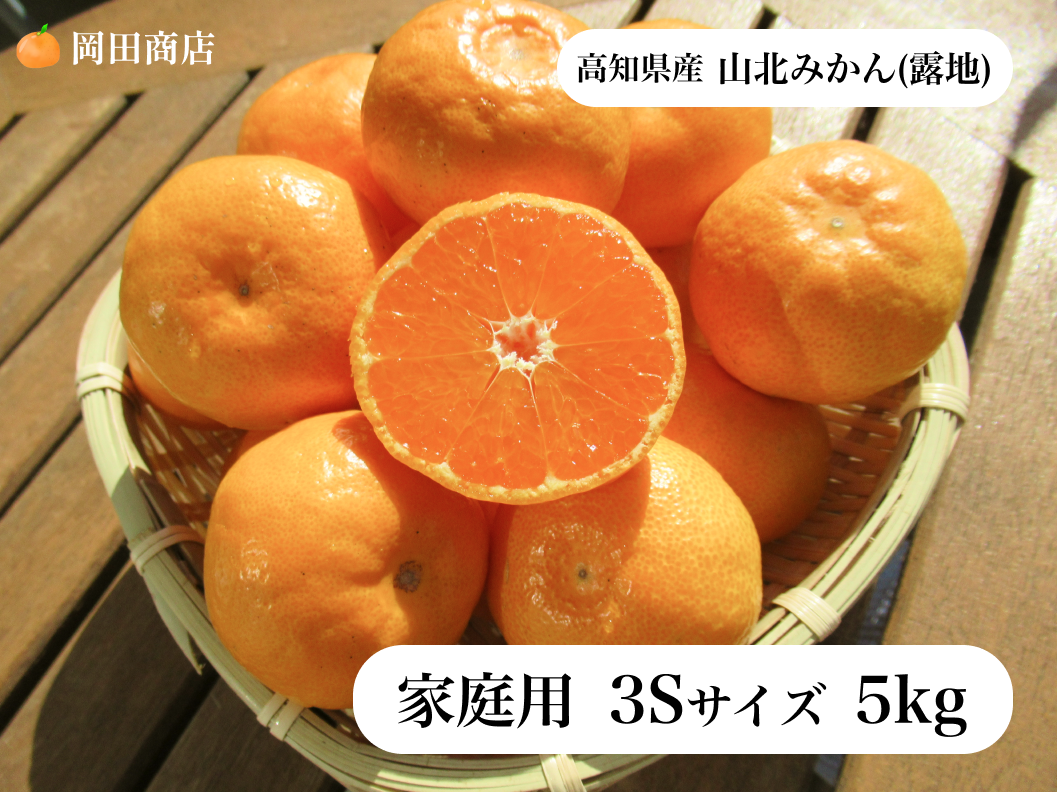 楽天市場】みかん せとか ◯等級 4L〜Lサイズ 5kg 愛媛県産 JA