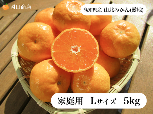 山北蜜柑(露地)/家庭用/Lサイズ/5kg